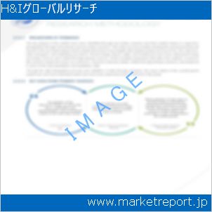 市場と産業調査レポートのイメージ